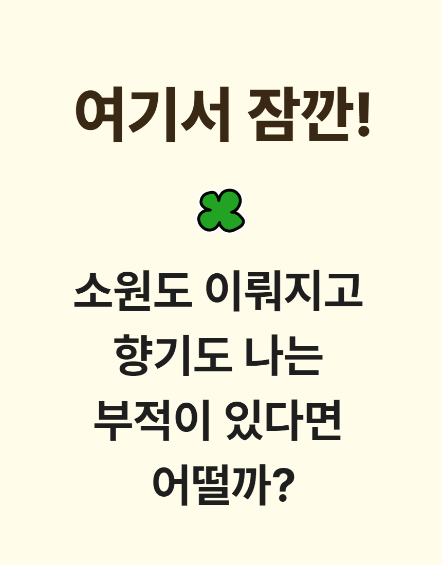 캐릭터부적샤쉐 3.jpg
